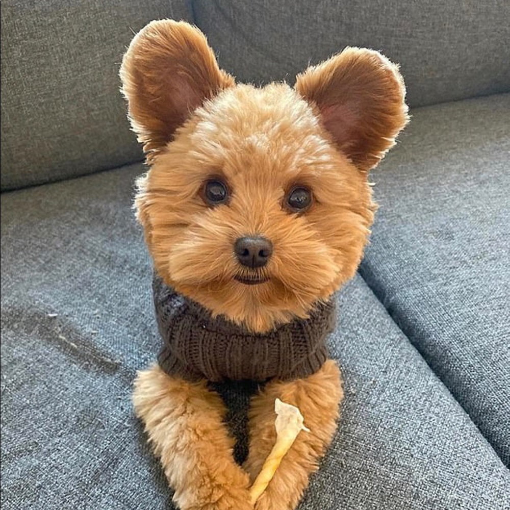 Meet your Posher, Elisabeth